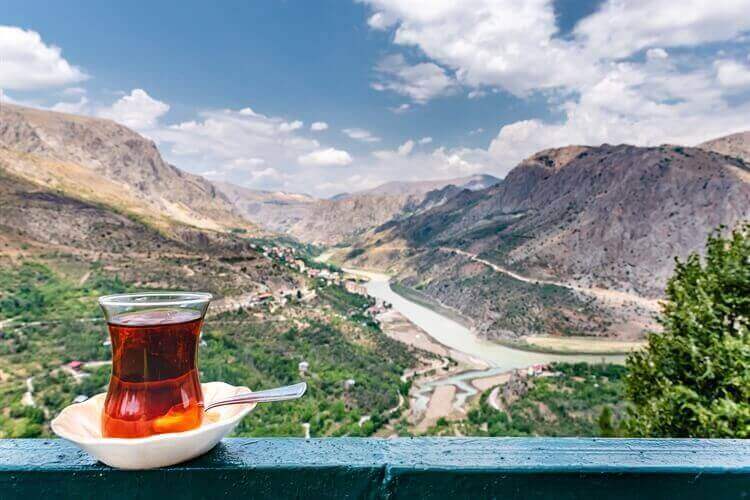  bosrijke omgeving erzincan turkije 