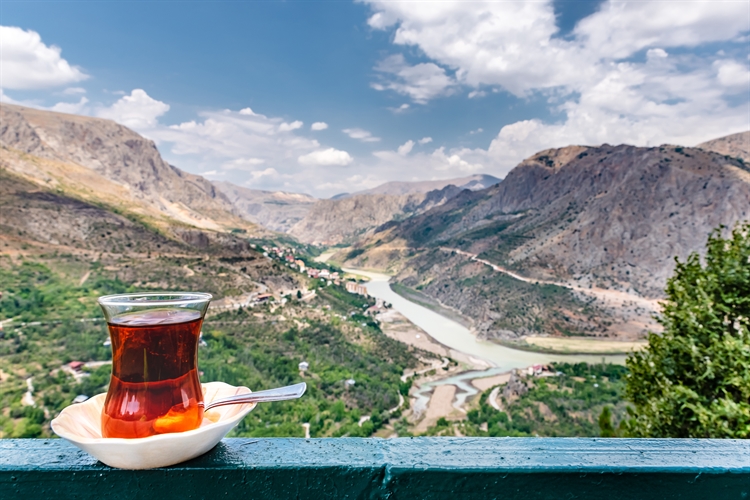  bosrijke omgeving erzincan turkije 
